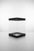 black box