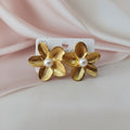 Stainless steel earrings