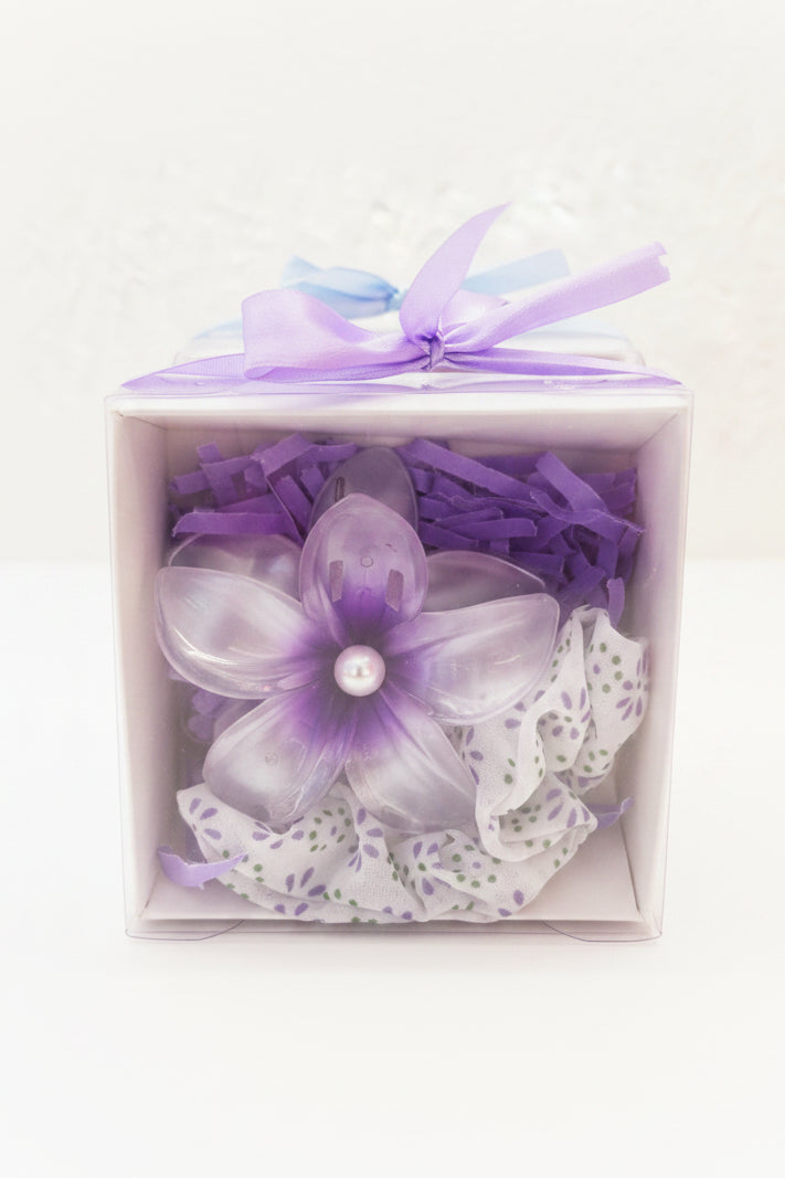 clips with scrunchy box